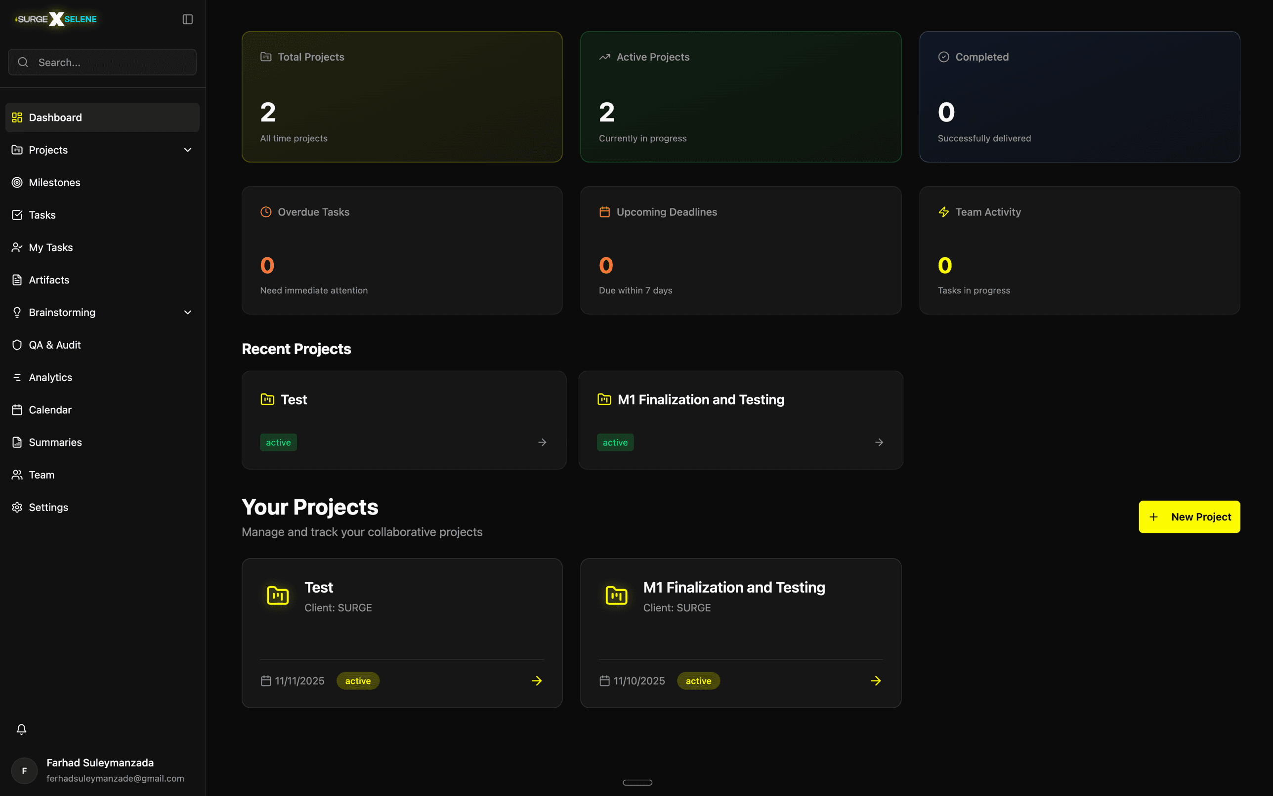 Selene project management dashboard built for Surge