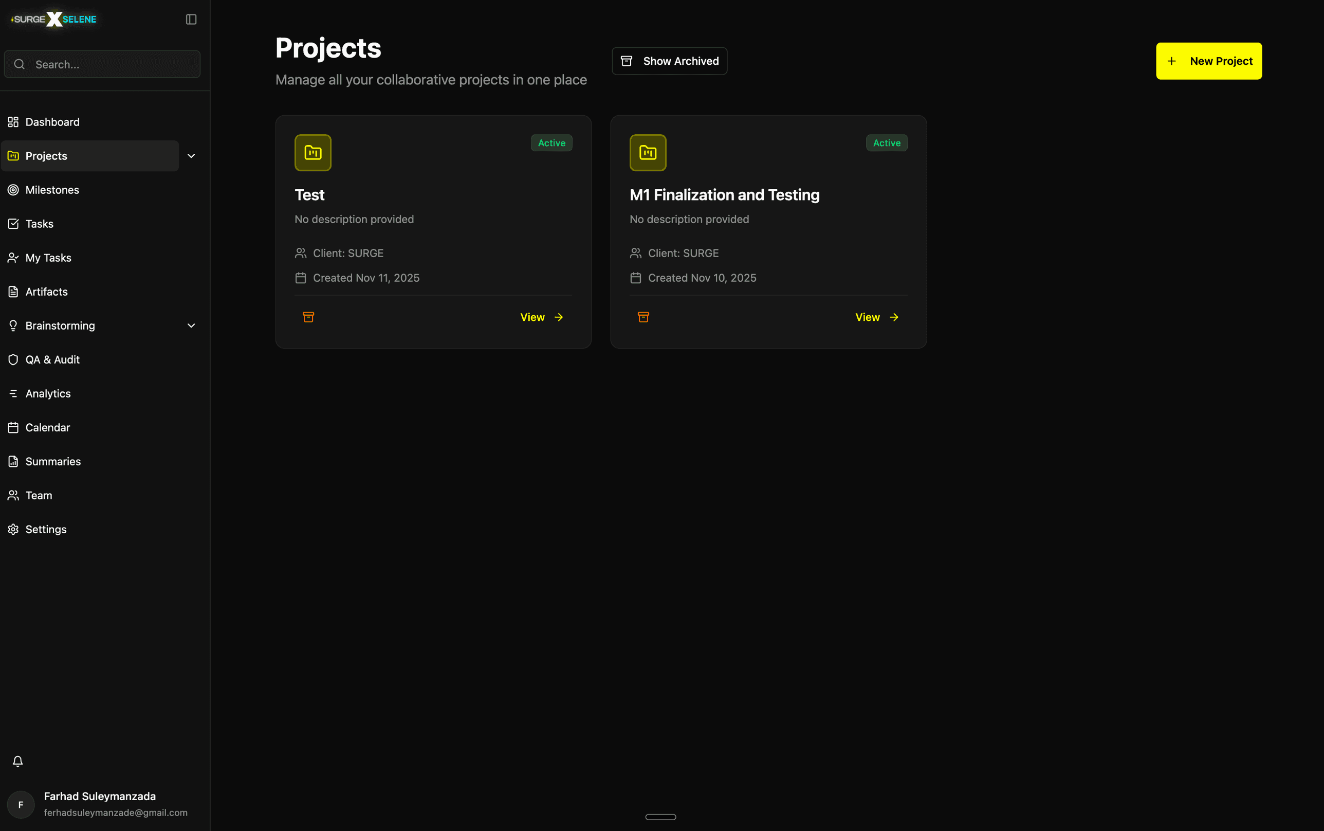 Selene project management dashboard built for Surge